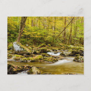Big Creek North Carolina Postcard