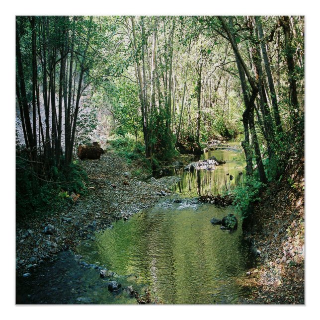 Big Creek... Poster (Front)