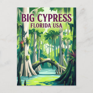 Big Cypress National Preserve USA Postcard