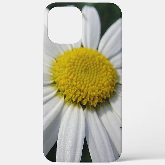 Big Daisy Case-Mate iPhone Case (Back)