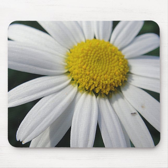 Big Daisy Mouse Pad (Front)