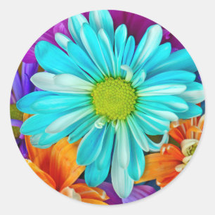 Big Daisy Pattern Classic Round Sticker