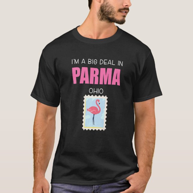 Big Deal Sarcastic Pink Flamingo Parma Ohio Souven T-Shirt (Front)
