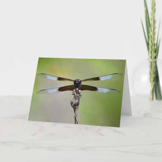Big Dragonfly Close Up Nature Note Card (Front)