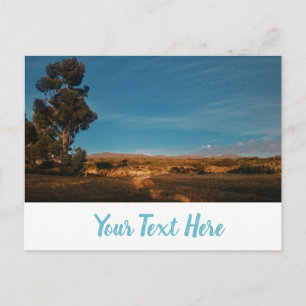 Big Eucalyptus Tree Beautiful Landscape Postcard