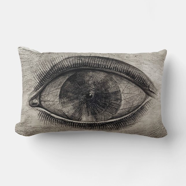 BIG EYE Black & White Graphic Modern Pillow (Front)