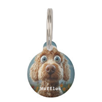 Big-Eyed Australian Labradoodle