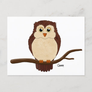 Big Eyed Owl - Postcard