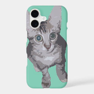 Big Eyes Kitten