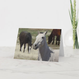 Big Eyes Pretty Little Grey Grey Pony Herd   Blank Card