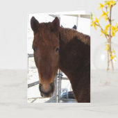 Big Eyes Red Tennessee Walking Horse -  TWH Blank Card (Yellow Flower)