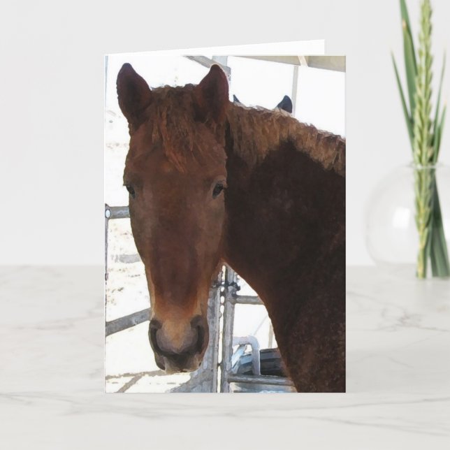 Big Eyes Red Tennessee Walking Horse -  TWH Blank Card (Front)