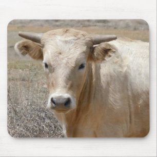 Big Eyes White Charolais Cattle - Western Mouse Pad