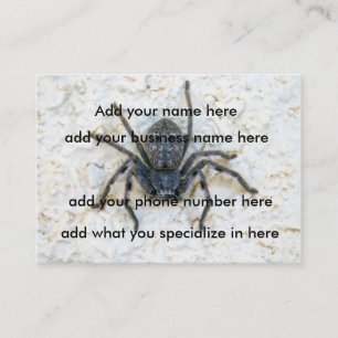 Big Female Huntsman Spider, Business Card