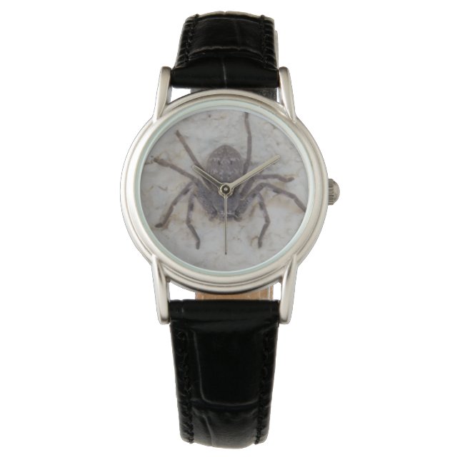 Big Female Huntsman Spider, Watch (Front)