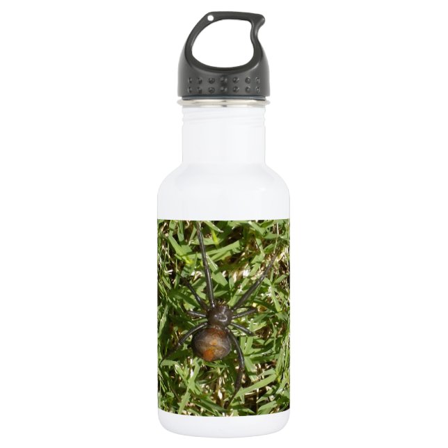 Big_Female_Redback_Spider,_ 532 Ml Water Bottle (Front)