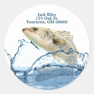Big fish out of water classic round sticker