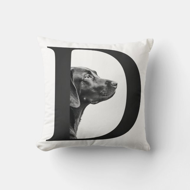 Big friend  cushion (Front)