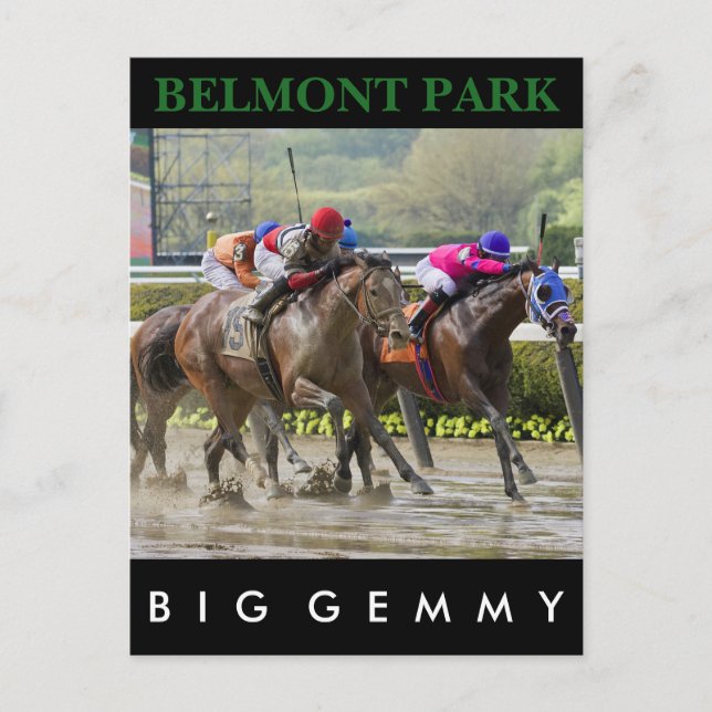 Big Gemmy - Jose Lezcano NY Bred Postcard (Front)