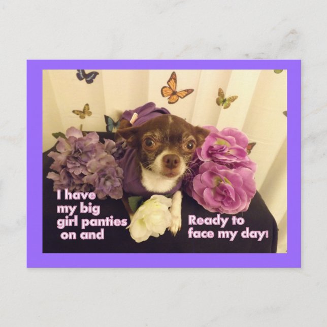 Big girl Panties Chihuahua Card (Front)
