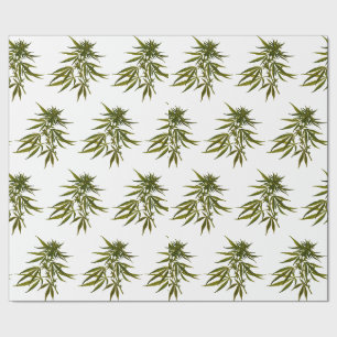 Big Green Buds on White Personalised Wrapping Paper
