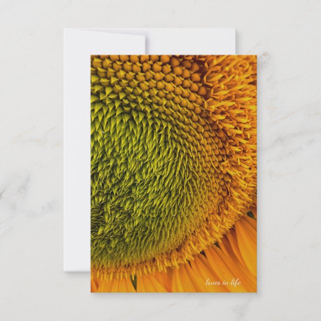 Big Green Centre Sunflower Card (Front)