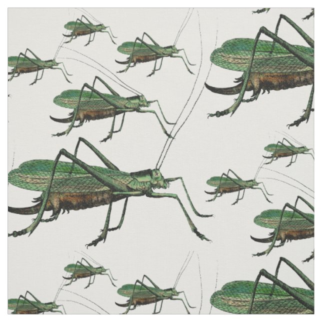 Big Green Grasshoppers Vintage Engraving Fabric (Swatch)