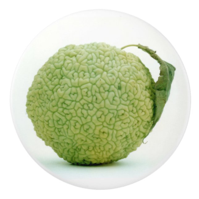 Big Green Hedgeapple Ceramic Knob (Front)