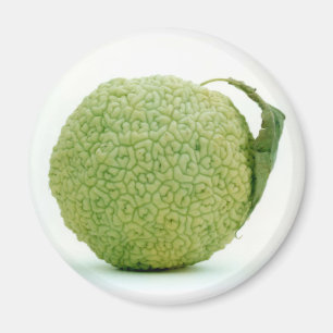 Big Green Hedgeapple Magnet