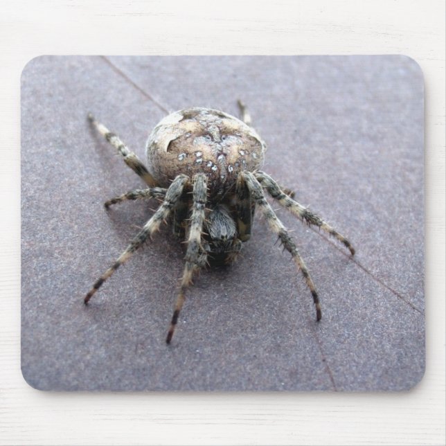 big grey spider mouse pad (Front)