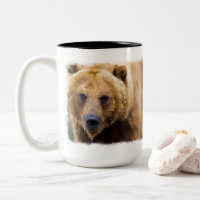 Big Grizzly Bear Close Enough