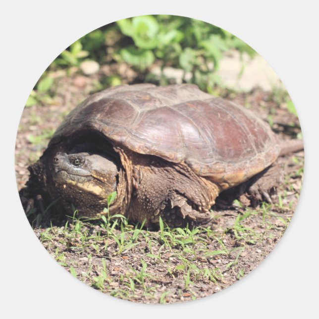 Big guy classic round sticker (Front)