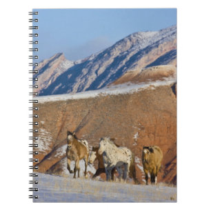 Big Horn Mountains, Horses running Spiral Notebook
