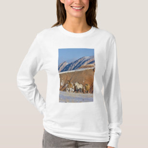 Big Horn Mountains, Horses running T-Shirt