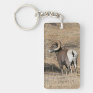 Big Horn Ram Acrylic Keychain