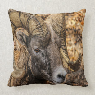Big Horn Ram Cushion