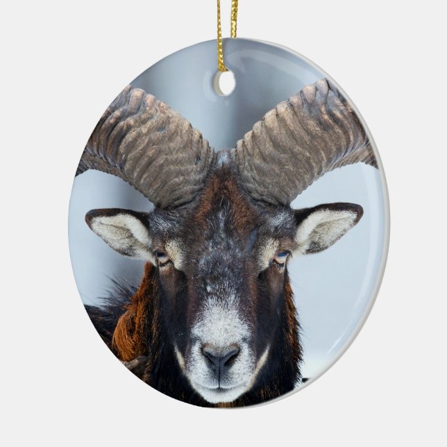 Big Horn Ram Sheep - Mouflon Ceramic Tree Decoration (Left)