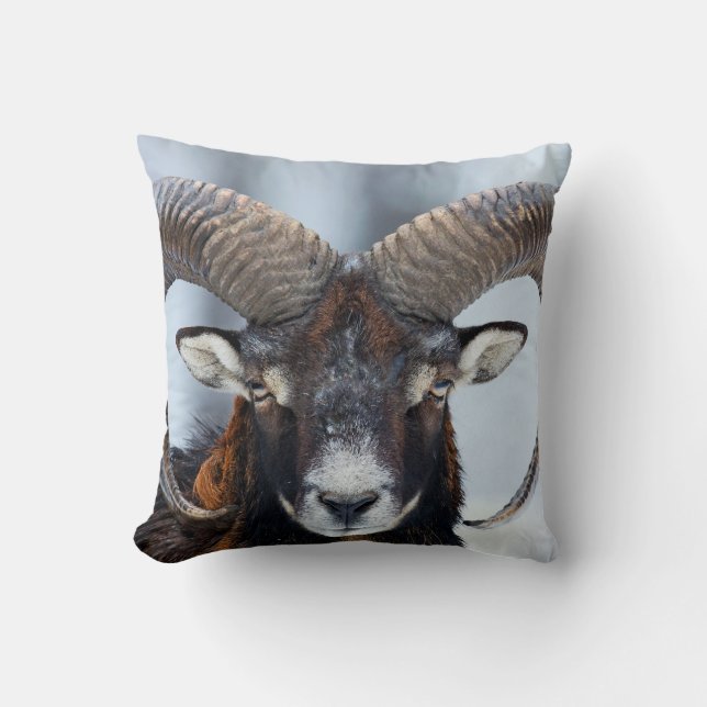 Big Horn Ram Sheep - Mouflon Cushion (Front)