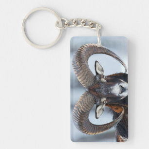 Big Horn Ram Sheep - Mouflon Key Ring