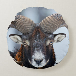 Big Horn Ram Sheep - Mouflon Round Cushion