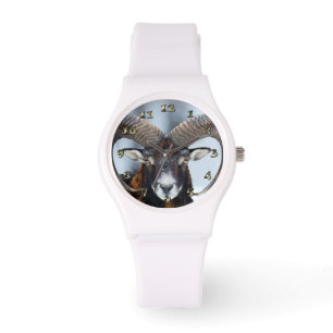 Big Horn Ram Sheep - Mouflon Watch