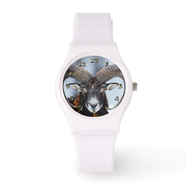 Big Horn Ram Sheep - Mouflon Watch (Front)
