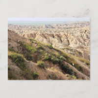 Big Horn Sheep at Badlands National Park, SD