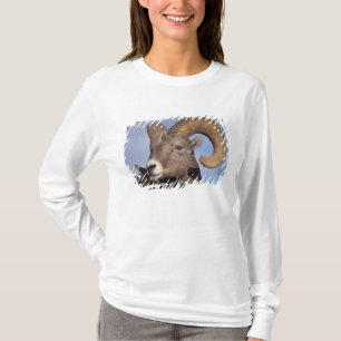 big horn sheep, mountain sheep, Ovis canadensis, T-Shirt