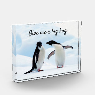 Big hug Penguin on ice photo with text Block