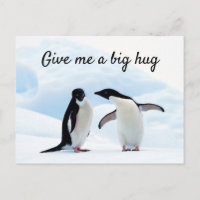 Big hug Penguin on ice photo with text