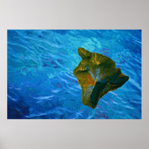 Big Island and Blue Waters Poster Print
