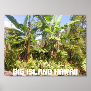 BIG ISLAND HAWAII BANANA TREES POSTER