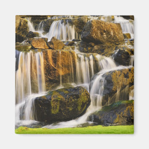 Big Island, Hawaii. Cascading stream, Big Island Magnet