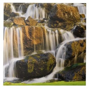 Big Island, Hawaii. Cascading stream, Big Island Tile